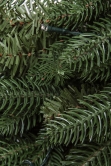 The 50cm Pre-lit Ultra Mixed Pine Wreath