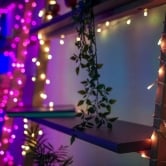 Twinkly Strings – 400 RGB+W Lights String, Black Wire, Plug Type G