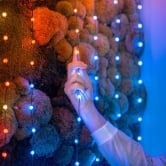 Twinkly Candies – 100 Pearl-shaped RGB LEDs, Clear Wire, USB-C
