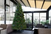 The 10ft Pre-lit Ultra Devonshire Tree - 4.6ft wide - Warm White/Multicoloured Colour Change LEDs