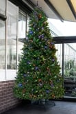 The 10ft Pre-lit Ultra Devonshire Tree - 4.6ft wide - Warm White/Multicoloured Colour Change LEDs