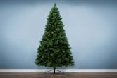 The 10ft Majestic Dew Pine Tree