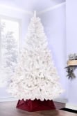 The 5ft Bianca Pine Tree