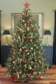 The 196pc Full Heavy Coverage Bauble Set (Choose colour for 7ft trees)