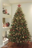 The 4ft Vivente Fir