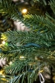 The 12ft Woodland Pine Tree