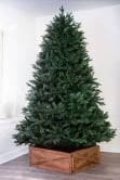 The 12ft Woodland Pine Tree