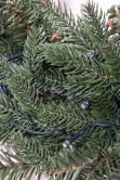 The 60cm Vivace Pine Wreath
