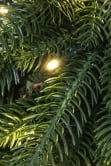 The Pre-lit Ultra Mixed Pine Wreath (50cm-60cm)