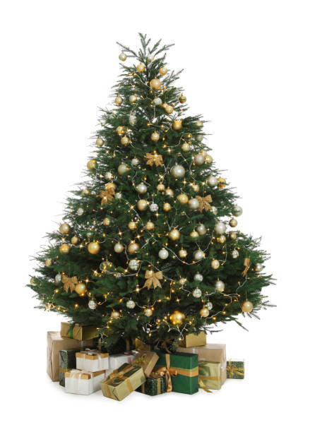 The Ultra Devonshire Fir Pre-lit with Warm White/Multicoloured Colour change LEDs (4ft to 12ft)