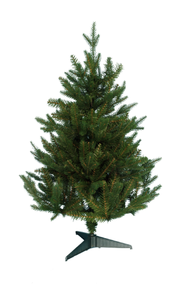 The 3ft Woodland Pine Tree