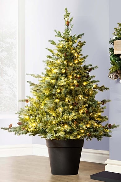 The 4ft Pre-lit Cairngorm Pine Potted Tree (Indoor/Outdoor)