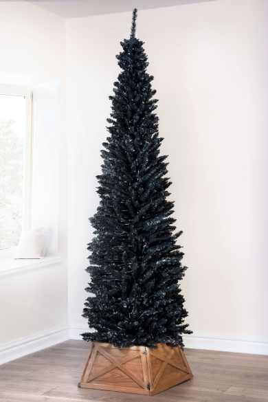 The 4ft Black Italian Pencilimo Tree