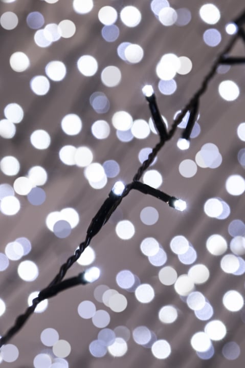 Christmas Tree World 1000 Multi function LED Lights