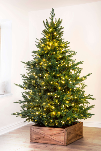 The 7ft Pre-lit Ultra Mountain Pine