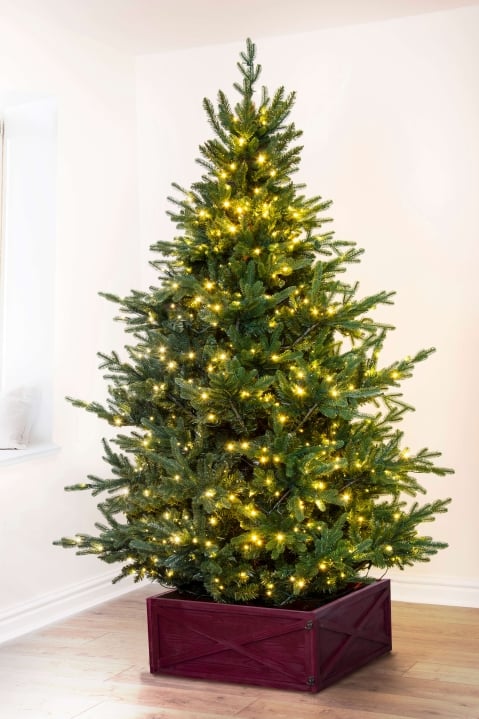 The Pre-lit Ultra Mountain Pine | Christmas Tree World