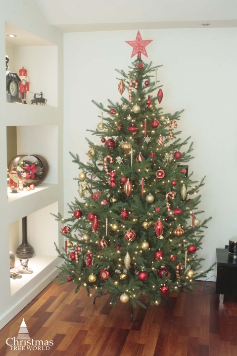 Set Of 3 Clear Decorative Shatterproof Christmas Tree Baubles Foliage Branch 8cm 