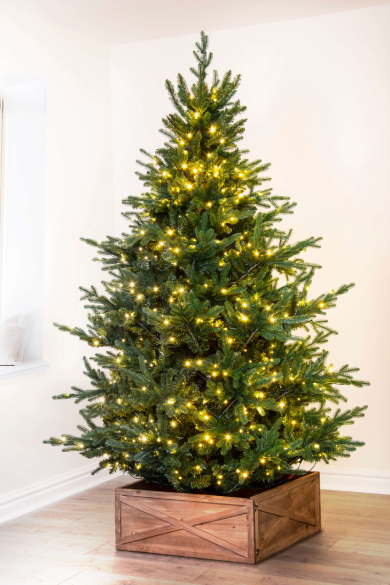 The Pre-lit Ultra Mountain Pine (4ft to 10ft)