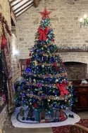 The 10ft Ultra Devonshire Fir Pre-lit with Warm White/Multicoloured Colour change LEDs