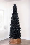 The 7ft Black Italian Pencilimo Tree