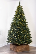 The 12ft Pre-lit Majestic Dew Pine Tree