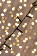 Christmas Tree World 1000 Multi function LED Lights