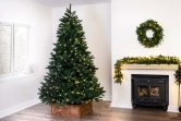 The 9ft Ultra Devonshire Fir Pre-lit with Warm White/Multicoloured Colour change LEDs