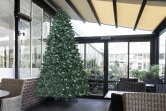 The 10ft Ultra Devonshire Fir Pre-lit with Warm White/White Colour change LEDs
