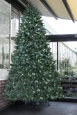 The 10ft Ultra Devonshire Fir Pre-lit with Warm White/White Colour change LEDs