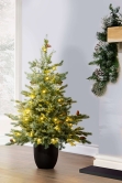 The 3ft Pre-lit Cairngorm Pine Potted Tree (Indoor/Outdoor)