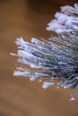 The Snowy LED Frosted Pine Fibre Optic Tree