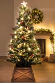 The Frosted LED Pine (3ft to 7ft)