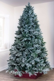 The Arbor Blue Pine Tree (6ft to 8ft)