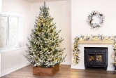 The 4ft Pre-lit Frosted Ultra Mountain Pine