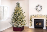 The 8ft Pre-lit Frosted Ultra Mountain Pine