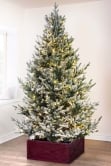 The 6ft Pre-lit Frosted Ultra Mountain Pine