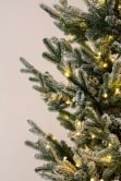 The 6ft Pre-lit Frosted Ultra Mountain Pine