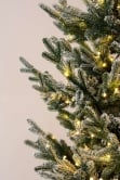 The 9ft Pre-lit Frosted Ultra Mountain Pine