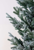 The 6ft Frosted Ultra Mountain Pine