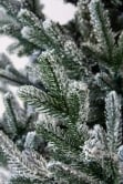 The 7ft Frosted Ultra Mountain Pine
