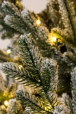 The 5ft Pre-lit Frosted Ultra Mountain Pine