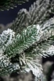 The Frosted Ultra Mountain Pine (6ft to 7ft)