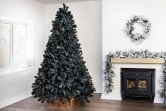 The Black Iridescence Pine Tree (6ft to 7ft)