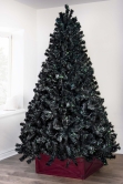 The Black Iridescence Pine Tree (6ft to 7ft)