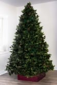 The Foresta Pine Tree (6ft-7ft)
