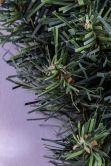 60cm Extra Wide Arbor Vitae Wreath