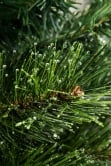 The 3ft Majestic Dew Pine Potted Tree (Indoor/Outdoor)