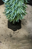 The 3ft Cairngorm Pine Potted Tree (Indoor/Outdoor)