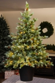 The 4ft Pre-lit Cairngorm Pine Potted Tree (Indoor/Outdoor)