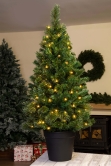 The Pre-lit Majestic Dew Pine Potted Tree (3ft to 4ft)